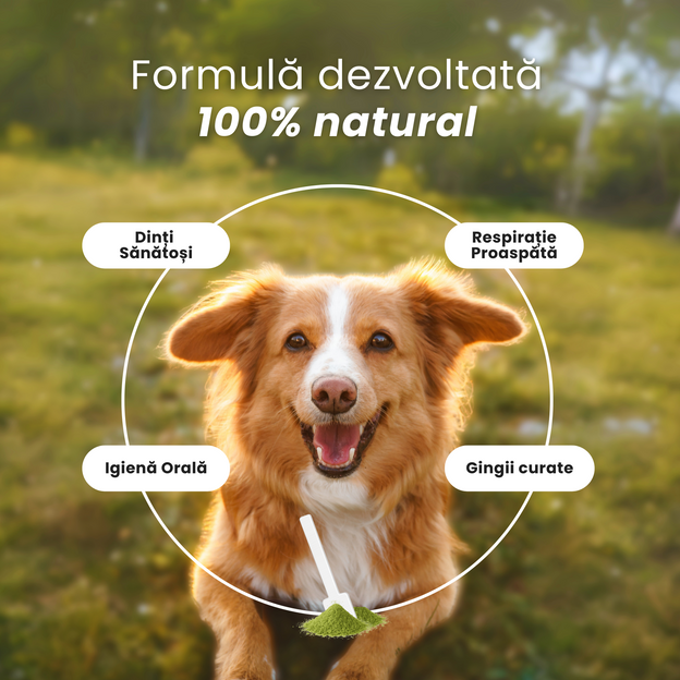 SupliPet Dental Fresh