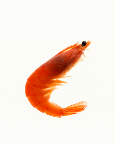 Glucozamină HCI (stridii)