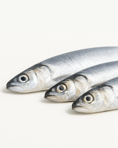 Omega 3