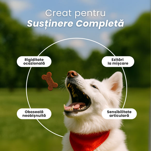 SupliPet Oase & Articulații