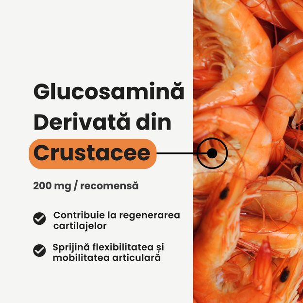 SupliPet Oase & Articulații